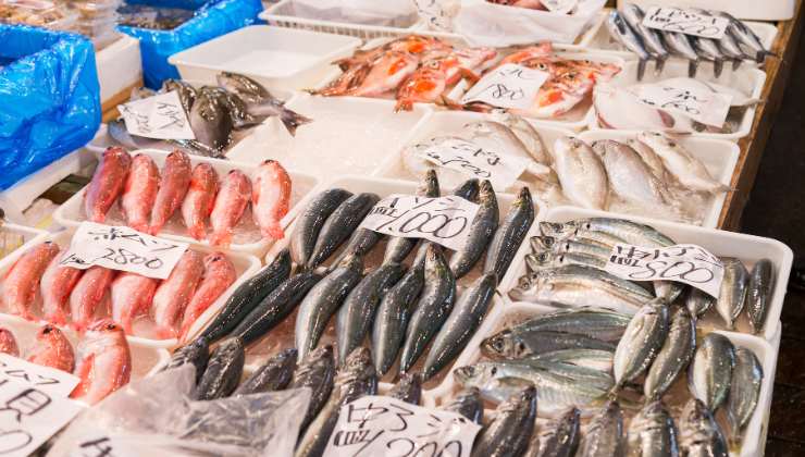Cosa sapere prima di comprare il pesce