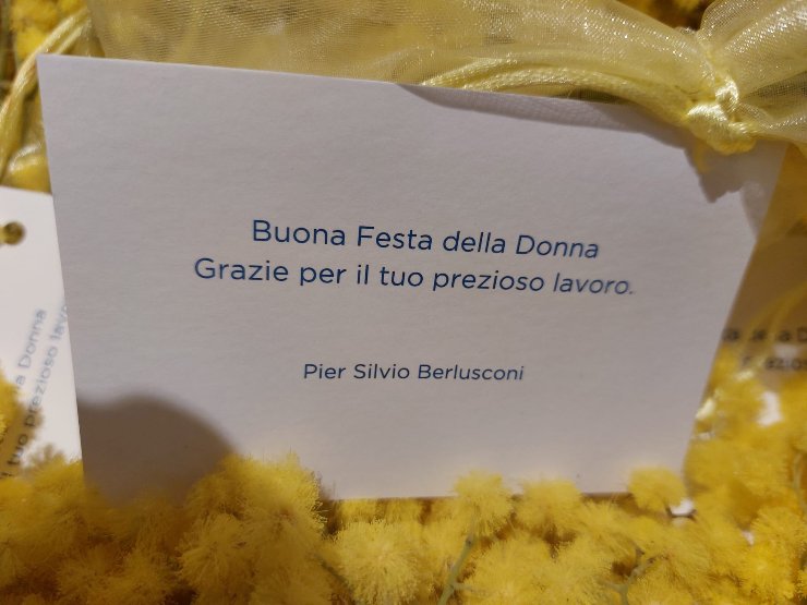 Pier Silvio Berlusconi: gesto donne Mediaset