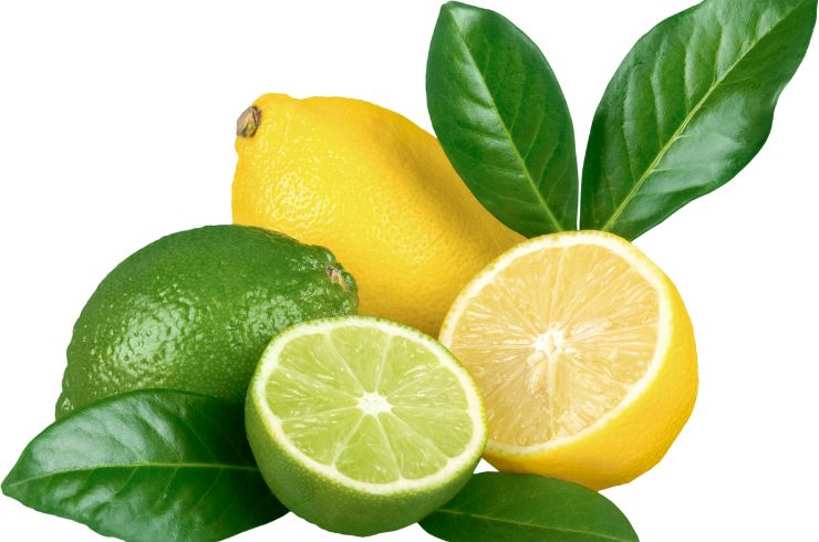 Limone: rami importanti