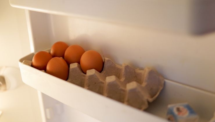 il luogo adatto per conservare le uova