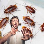 paura scarafaggi